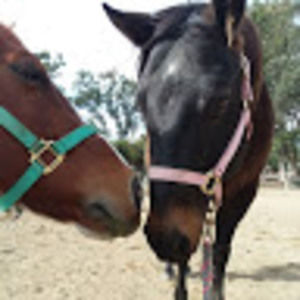 Meet your Posher, Alyson